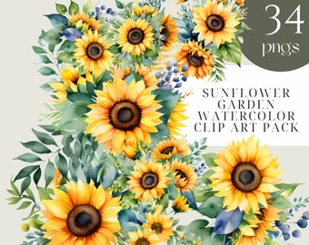 Imágenes prediseñadas de girasoles, girasoles PNG, paquete de imágenes prediseñadas de acuarela de girasoles - 34 PNG, imágenes prediseñadas de girasoles, uso comercial, corona de girasol, flor