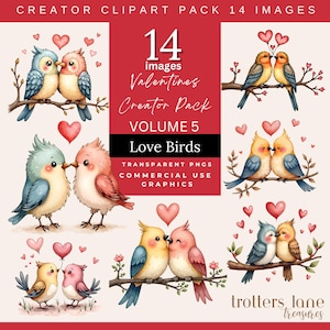 Clipart de pássaro do dia dos namorados | Pacote PNG de pássaros do amor | Arte de casal de pássaros românticos | Gráficos fofos de dia dos namorados | Download para uso comercial