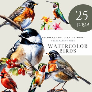 Beautiful Watercolor Bird Clipart PNG Bundle Transparent Background Clip Art Scrapbook, Card Making,  Digital Download Commercial Use
