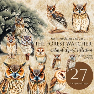 Bos thema baby shower clipart | Uil, png, wilde dieren in het bos, winternatuurillustraties