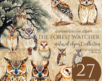 Clipart di gufo del bosco PNG / Illustrazioni realistiche di gufi / Clipart di animali del bosco / Arte naturalistica per la cameretta / Clipart per baby shower / PNG