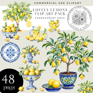 Chinoiserie vaas clipart, mediterrane citroen clipart, Italië citroen clipart, chinoiserie bloemen clipart, blauwe chinoiserie clipart, png