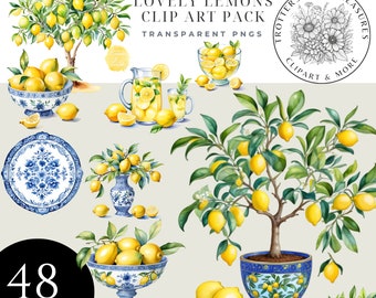 Chinoiserie Vase Clipart, Mediterranean Lemon Clipart, Italy Lemon Clipart, Chinoiserie Floral Clipart, Blue Chinoiserie Clipart, PNG