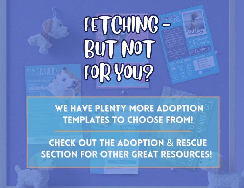 Dog Adoption Flyer Template | Orange & Blue Pet Rescue Poster for Canva ...