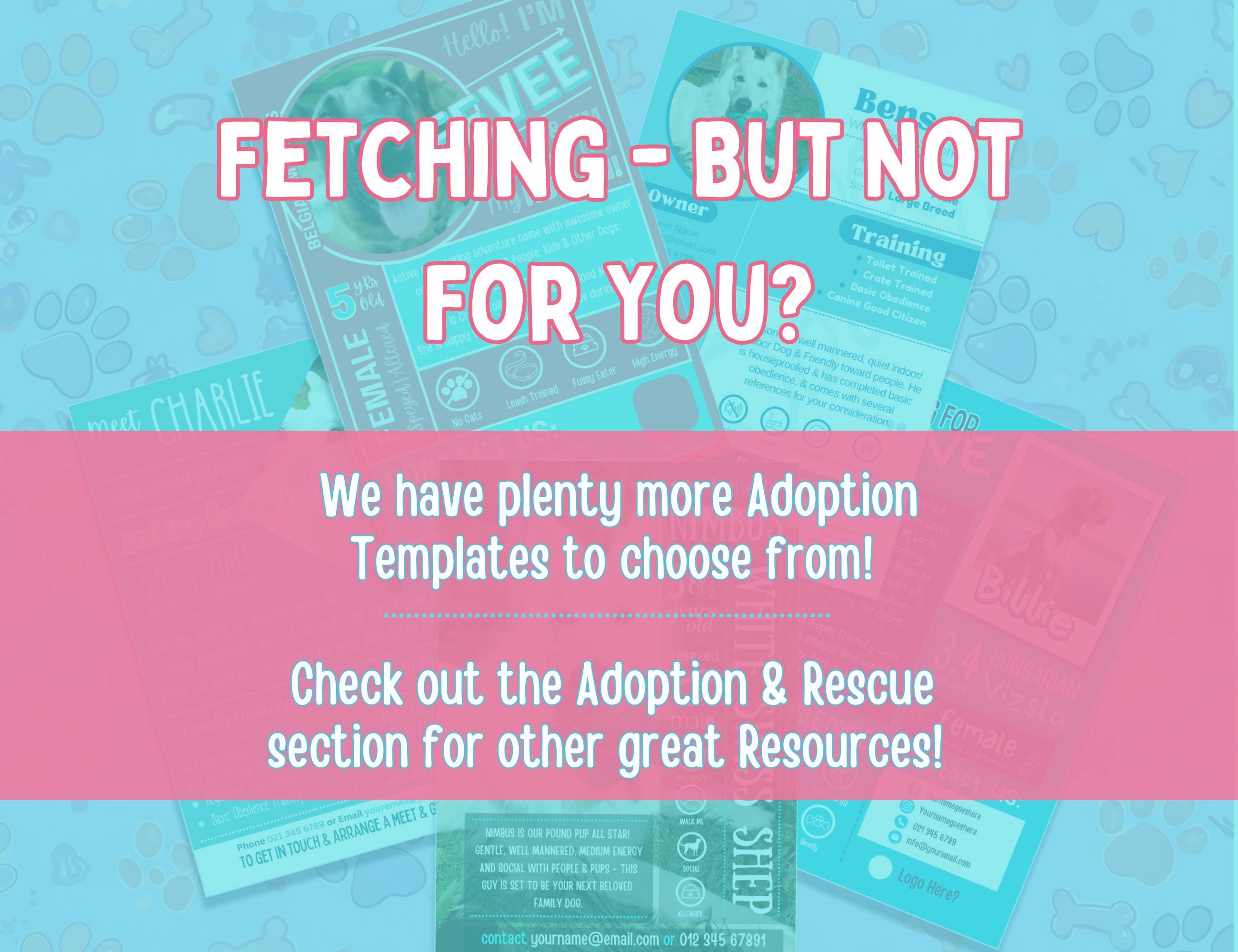 Adoptable Dog Facebook Post Template | Editable Canva Digital Template ...