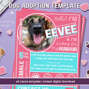 Bewerkbare sjabloon folder hond adoptie | Roze en turkoois herplaatsingsposter voor huisdieren | Afdrukbare reddingsschuilplaats
