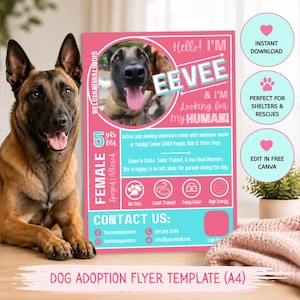 Könnte beinhalten: Rosa-weißes Hunde-Adoptions-Flyer-Template mit einem Belgischen Malinois. Der Flyer enthält den Text "Hello! I'M EEVEE & I'M Looking for my HUMAN!" und Kontaktdaten. Erwähnt auch Canva-Bearbeitung.