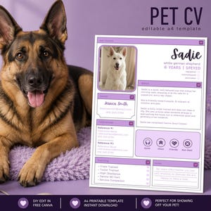 Pode incluir: Um cão pastor alemão está deitado ao lado de um modelo de currículo para animais de estimação roxo e branco. O modelo inclui uma foto de um pastor alemão branco, o nome "Sadie" e detalhes sobre o cão. O texto "PET CV" está no topo.