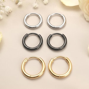 A Pair of ASTM F136 Titanium Huggie Hoops