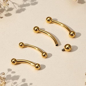 ASTM F136 Titanium Internally Threaded Basic Curved Barbell