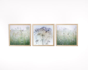 Ensemble de 3 impressions d'art botanique, photographie florale minimaliste (téléchargement numérique)