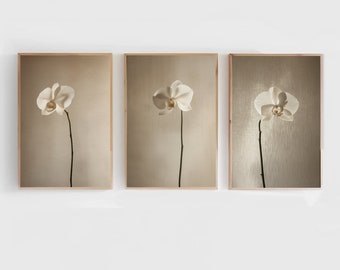 Serene White Orchid Set of 3 Prints | Minimalistic Floral Art for Home Décor | Modern Botanical Wall Art