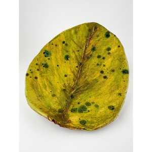 Handmade Vintage Ceramic Leaf Plate with Ladybug Nature-Inspired Studio Pottery