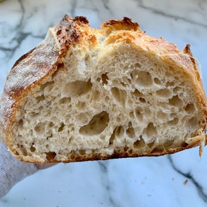 Organic Dried Sourdough Starter with bread recipe