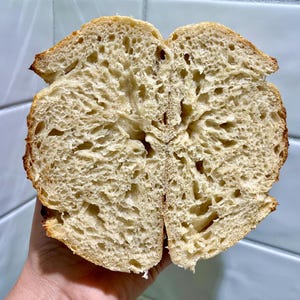 Organic Dried Sourdough Starter