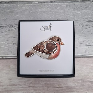 May include: A decorative robin bird brooch in a black box. The brooch features brown, red, and silver tones with sparkling embellishments. The design includes a metallic finish. The text "Sassy Spirit" and website address are visible.