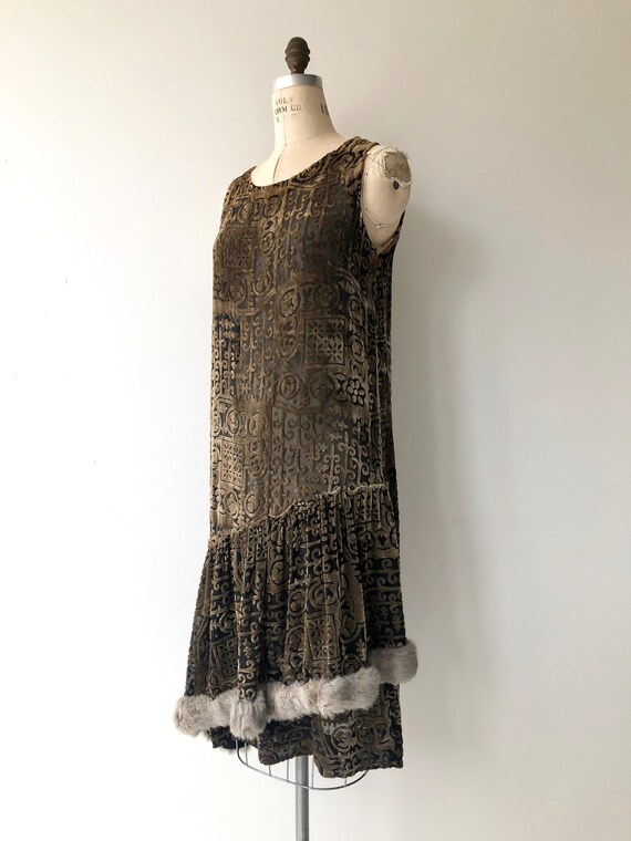 Secret History Dress 1920s Velvet Dress 