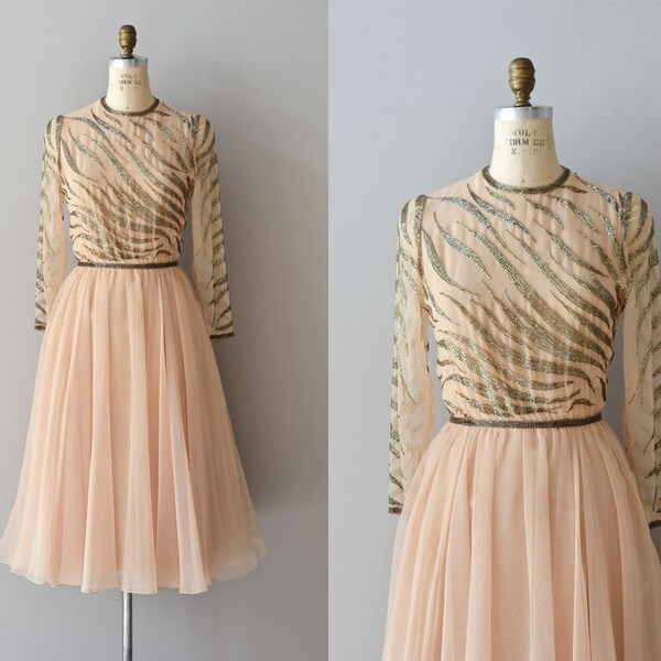 Champagne Toast dress / vintage 1970s beaded dress / silk chiffon 70s dress