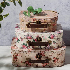 Juego de 3 maletas vintage rosas con diseño floral femenino de almacenamiento en color rosa