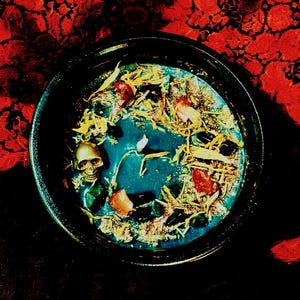 Puede incluir: Un cuenco negro lleno de un l&iacute;quido azul y varias hierbas secas, cristales y un amuleto de calavera dorado.