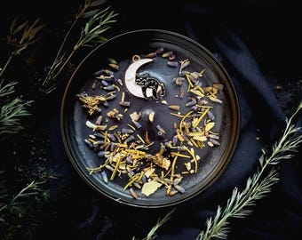 Midnight Whiskers Soy Candle, Cat Candle, Organic Herbs, Candles for a Cause, Handmade