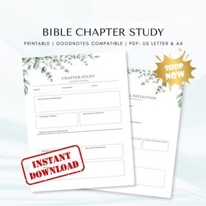 Bible Chapter Study  Worksheet | Scripture Study Guide (Digital PDF)