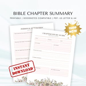 Samenvattend werkblad bijbelhoofdstukken | Sjabloon bijbelstudie (digitale pdf)