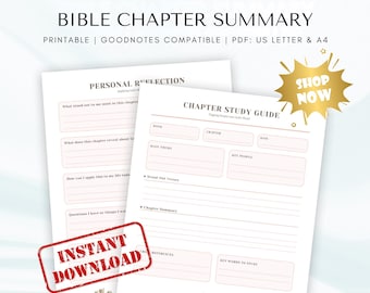 Bible Chapter Summary Worksheet | Bible Study Template (Digital PDF)