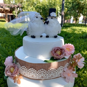 Bird Wedding Cake Topper – Romantic Lovebirds Bride & Groom Figurines – Rustic Shabby Chic Wedding Décor