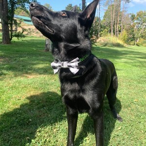 Holiday Dog Bow Ties- Velcro Strap, Easy On/Off Bow Ties
