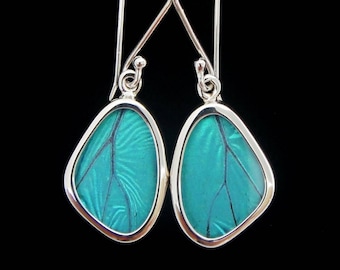 Blue Morpho Butterfly Wing Earrings in Extra Small