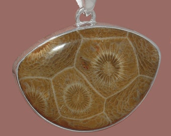 Fossilized Coral Pendant with beautiful tortoiseshell pattern