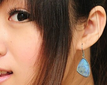 Pearl Blue Morpho Butterfly Wing Earrings in Medium