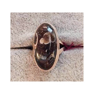 Turritella Agate aka Elimia Agate Ring Size 6.5 Sterling Silver