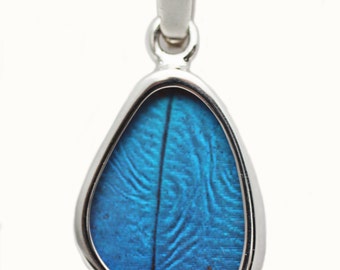 Blue Morpho Butterfly Wing Silver Pendant Extra Small