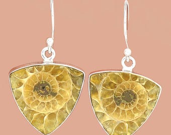 May include: A pair of silver earrings with a triangular shape. Each earring features a fossilized ammonite in shades of brown and yellow.