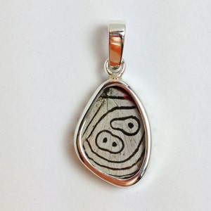 Cramers 88 Butterfly Wing Pendant size XS