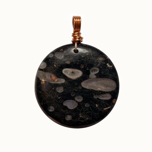 May include: A round, black pendant with a speckled pattern of gray and white spots. The pendant is wire-wrapped with copper-colored wire at the top for hanging. The stone has a polished, smooth surface.