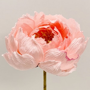 Peonia perfetta - Peonie - Fiori di carta - Fiori di carta crespa - Fiori da sposa - Bouquet da sposa - Bouquet da sposa - Peonia Golden Circle - Ornamenti