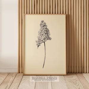 Antique Lilac Farmhouse Sketch | Minimal Vintage Flowers Wall Art | Neutral Botanical Drawing Print | PRINTABLE Digital Artwork | BB 00327