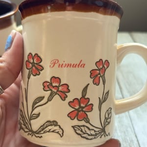 RARE Biltons Stoneware Mugs - Set of 3, Primula Floral Decor