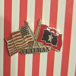 Reversspeld USA & Service Star Veteranenvlag
