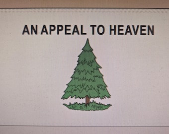 Washington's Cruiser Appeal To Heaven 3'x5' 100D flag