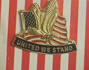 United We Stand USA lapel pin