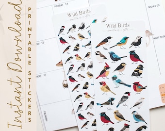 Wild Birds Planner Stickers | Printable Bullet Journal Stickers (Digital Download)
