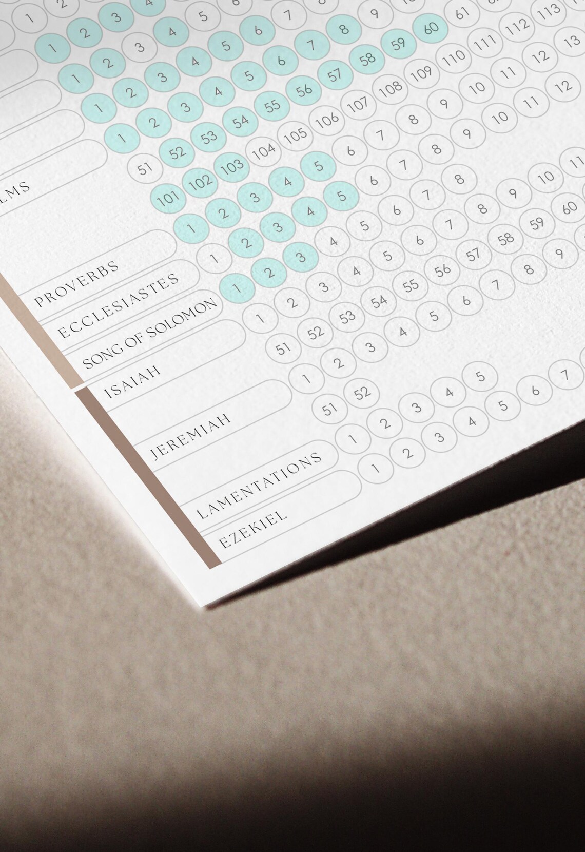 Printable Bible Reading Tracker: Chapter Checklist (digital Download ...