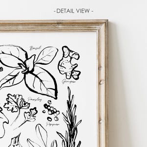 Op de afbeelding: Zwart-wit botanische illustratieprint met diverse kruiden en specerijen. De print bevat gedetailleerde tekeningen van basilicum, gember, peterselie, peper en rozemarijn, elk beschreven in cursief schrift. Het kunstwerk is ingelijst in een lichtgekleurde houten lijst.
