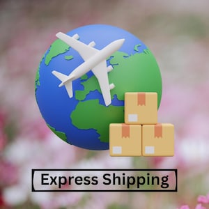 Express Shipping