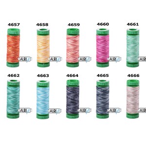 Puede incluir: Diez carretes de hilo Aurifil en varios colores y patrones. Los carretes están etiquetados con los números del 4657 al 4666.