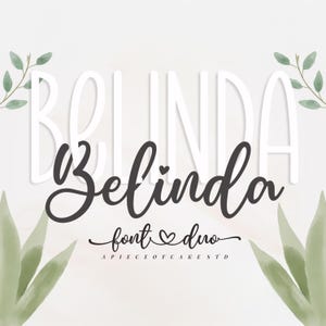 May include: A font duo called "Belinda" with a white outline and a handwritten script style. The text "font duo" is written in a cursive script with a small heart symbol. The text "A Piece of Cake Std" is written in a sans-serif font.